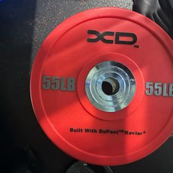 55lbs Bumper Olympic Weight Plates