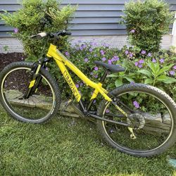 Commencal ramones 20 for sale new arrivals
