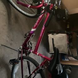 29in Adult Bike 