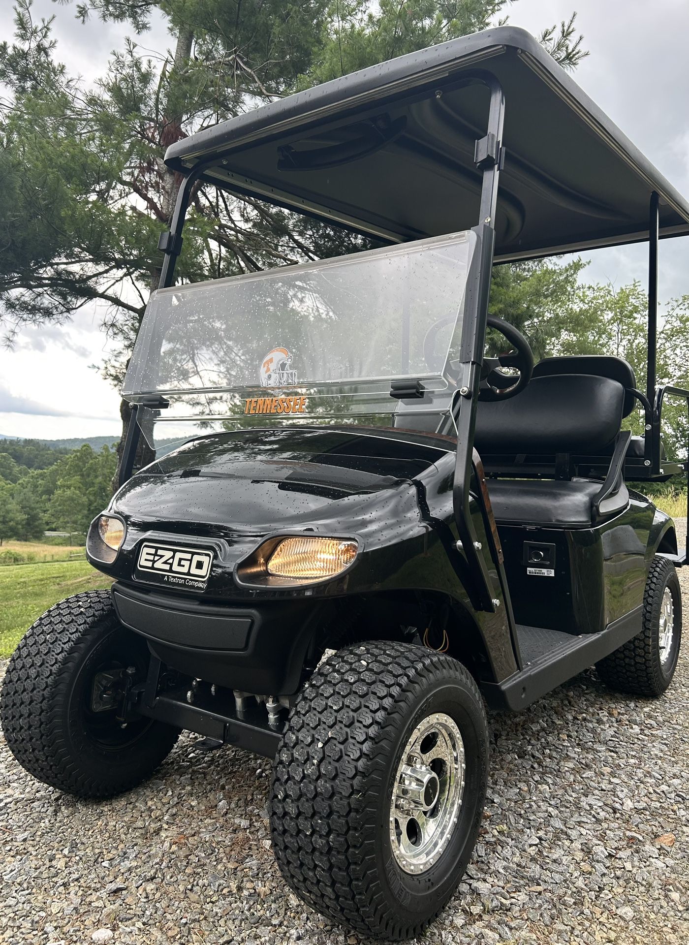 2020 GAS ezgo