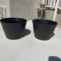 Garden Bins Plants Grow