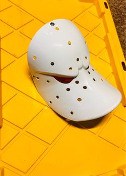 Anaheim Mighty Ducks NHL Hockey Goalie Mask Mascot Wild Wing 2025