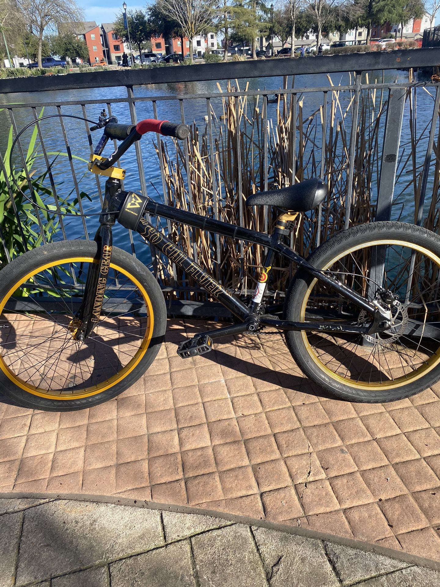 24in Se (Decription)