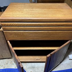 Rolling Desk/Storage/Media Console