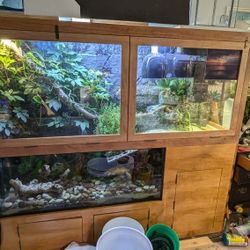 Aquatic Turtle Habitat