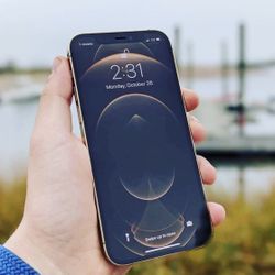 iPhone 12 Pro Max (256GB) White FactoryUnclocked 