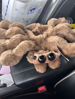 Build-A-Bear jumping spider