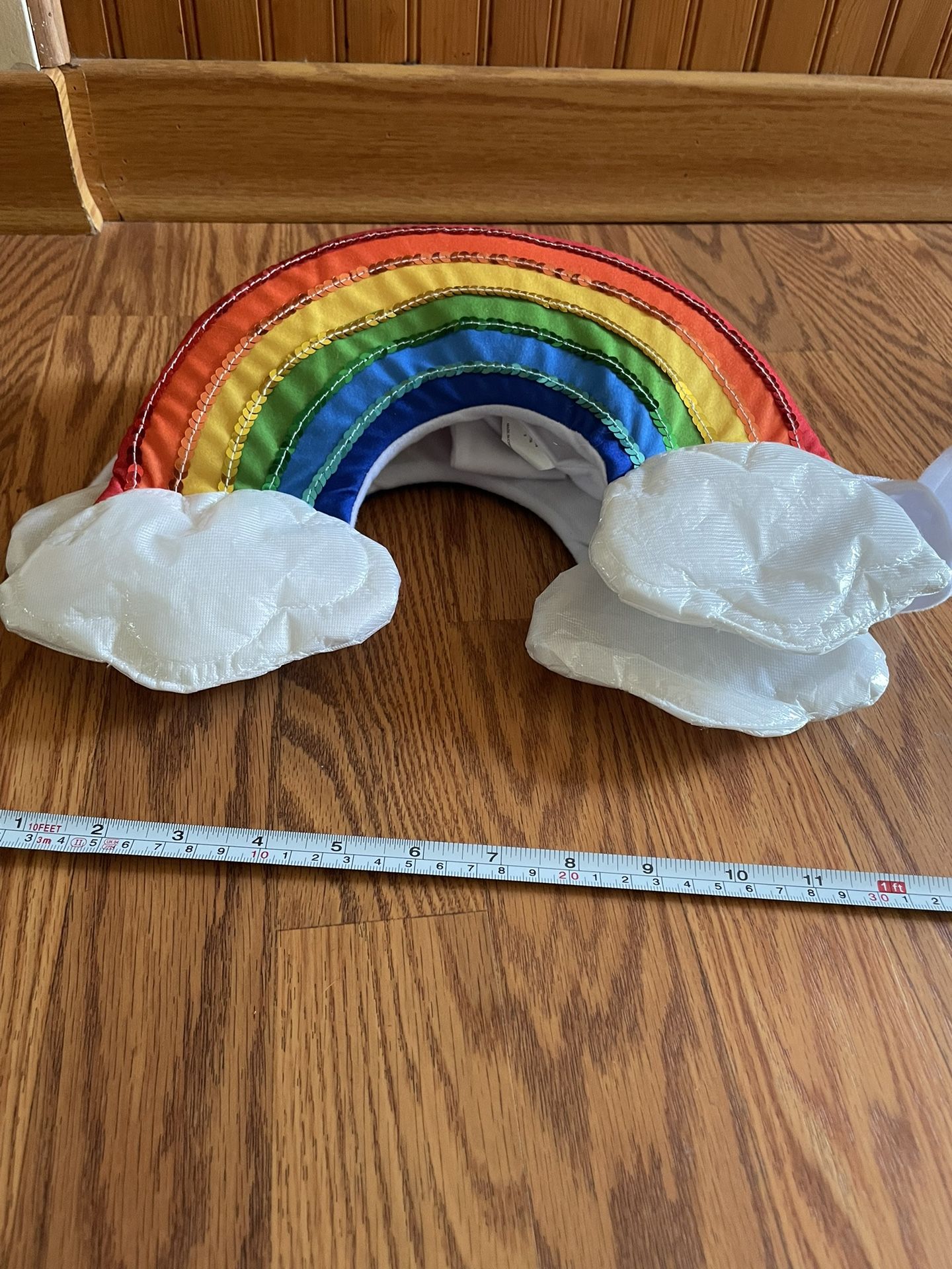 Small Dog Rainbow Costume