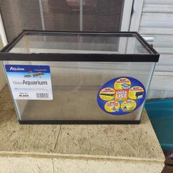 10 Gallon Tank 