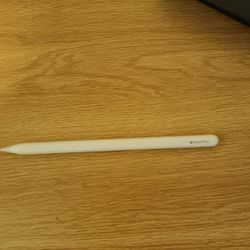 Apple Pencil Pro –  iPad Stylus
