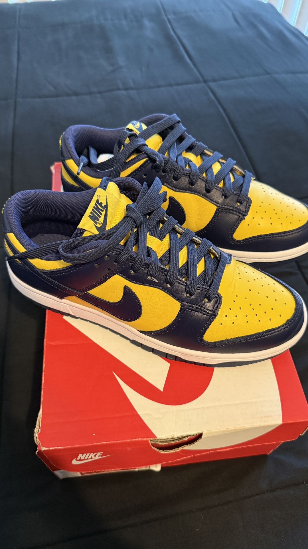 NIKE DUNK LOW MICHIGAN 2021