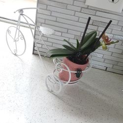 garden pot holders plants