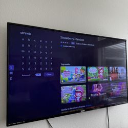 47” Phillips Flat Screen And 48” Roku (GREAT SALE)