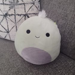 Squishmallow-HERB THE TURTLE