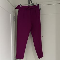 Women Fuchsia Pants 