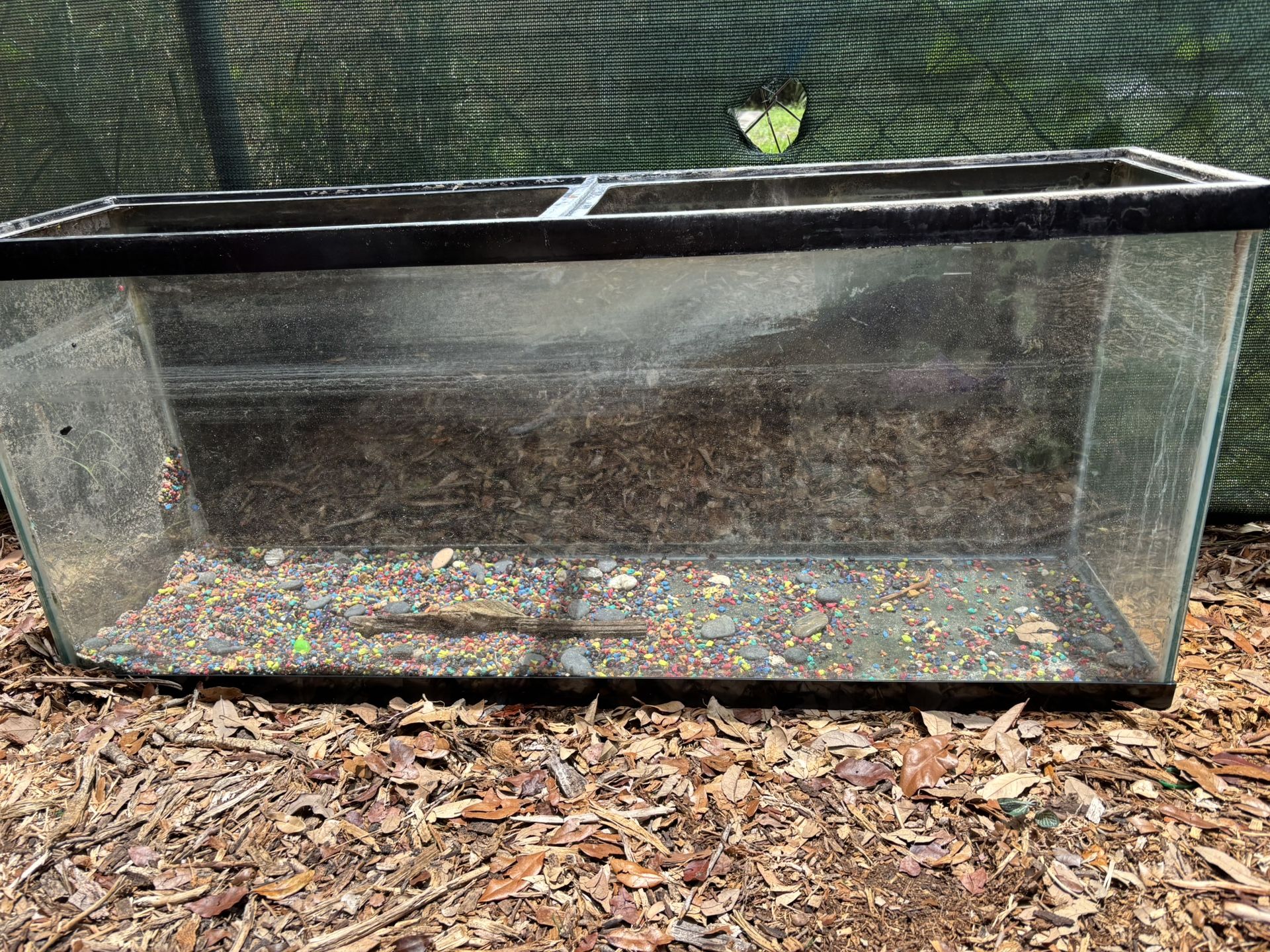 55 Gallon Fish Tank