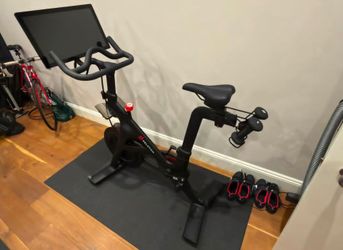 Pelton   bike 2024