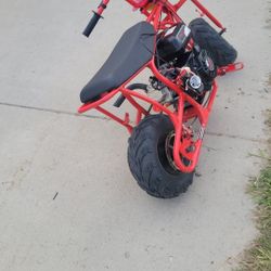 Lmk 4 Mini Bike Selling It 4 800 Has 212cc Gov Delete Exhaust Brand New Carb Goes 45 