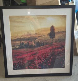 "shades of poppies" painting