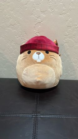 Squish mellow (beaver)