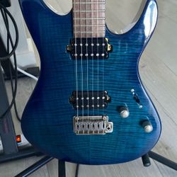 Beautiful Shawn Guitar Like New   