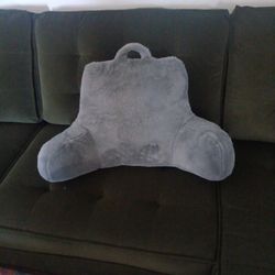 Bedroom Or Couch Pillow