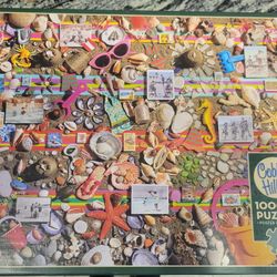 Cobble Hill 1000pc Jigsaw Puzzle "BEACH SCENE".  Poster Included.