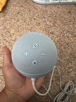 Echo dot