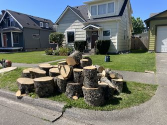Free firewood