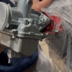 224 Predator motor minibike