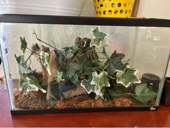 Small tank