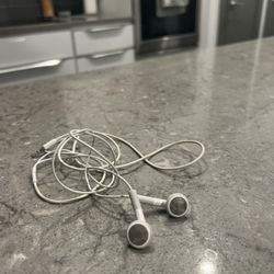 Apple Headphones