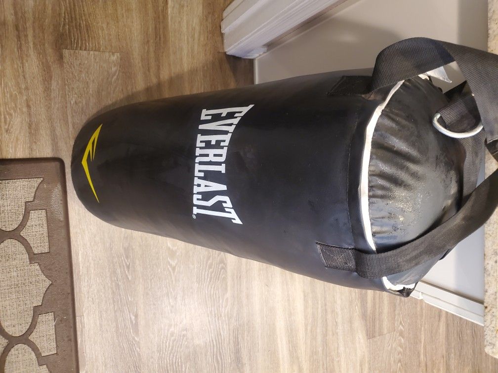 Everlast Heavy Duty Punching Bag