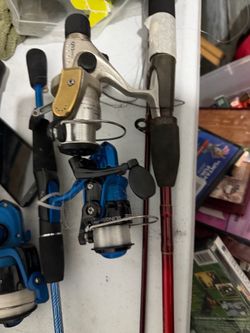 Lot of Fishing Rods and Reels