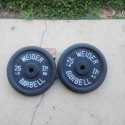 25lbs Weight Plate 