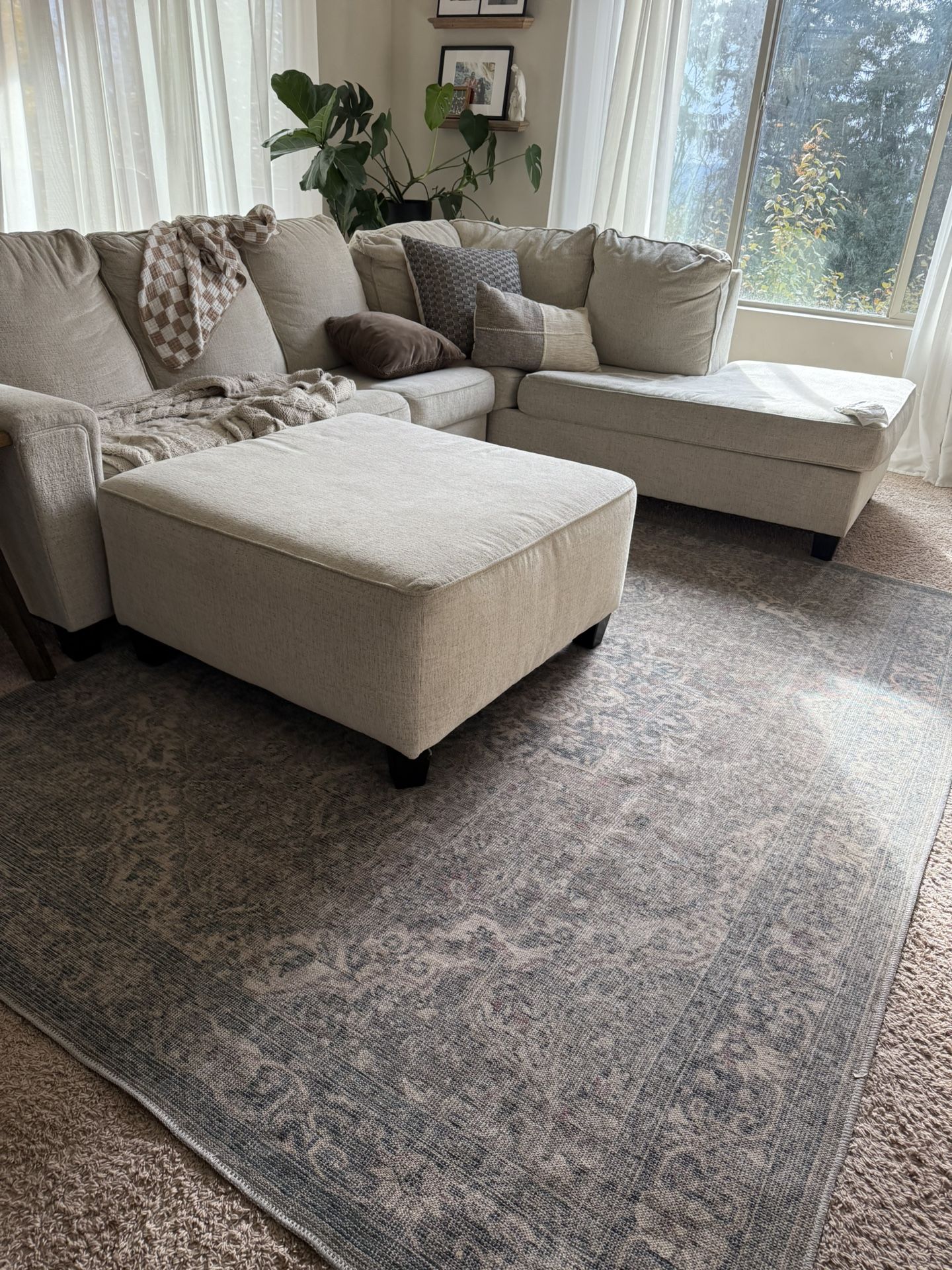9x7 Neutral Rug