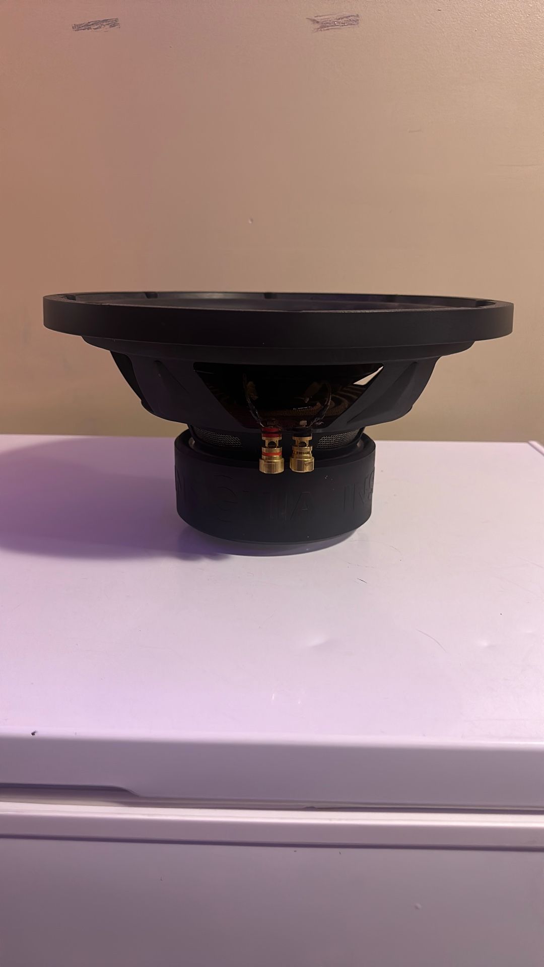 12 Inch Subwoofer (INSIGNIA) $$$$$50