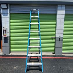 Werner 8ft ladder
