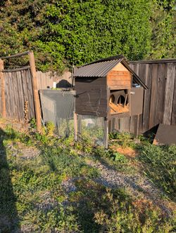 Chicken Coop