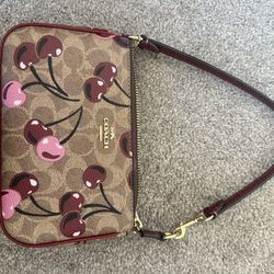 Coach & Juicy Bags 
