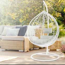 Brand New Egg Chair