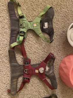 Harness And Dog Bowls