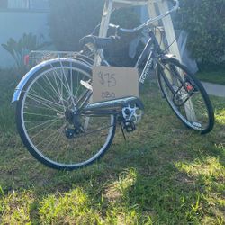 Schwann Women’s Bike