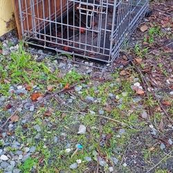 Crate