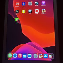 iPad - Apple iPad Air 2 64GB With WiFi - Used 