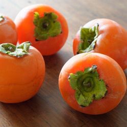 Triumph Persimmon Grafted Trees In 3gal Arboles De Caqui,persimmon Tropical Injertado 3gal