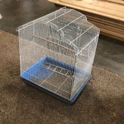 Bird Cage 