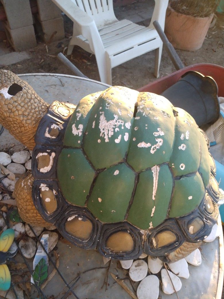 $5 Giant Turtle