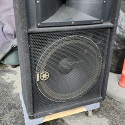 Yamaha 15 Monitors