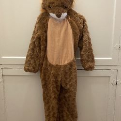 Lion Costume